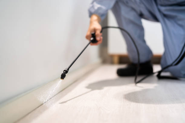 Certified termite inspector examining foundation in Lawson